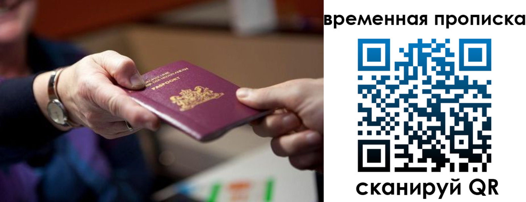 временная регистрация для всех в Сураже